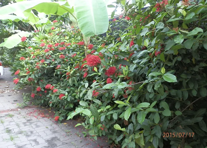 Aparthotel Sandy Serviced