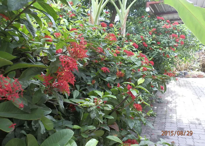 Aparthotel Sandy Serviced 2*