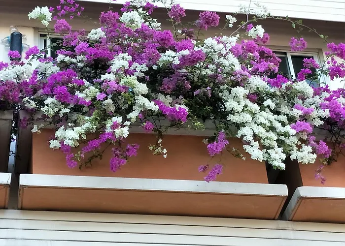 Aparthotel Sandy Serviced 2*